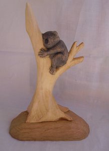 Dreaming koala 3.jpg