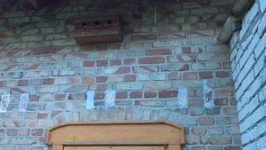 IMAG0089.jpg (97.67 KiB) 6032 mal betrachtet IMAG0089.jpg