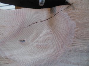 DSCN3500.jpg